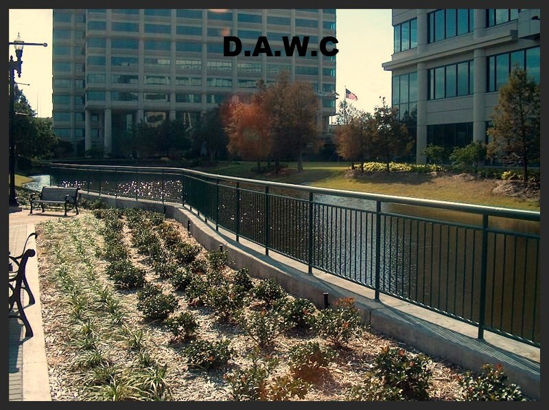 Black metal railings bordering a commercial property walkway